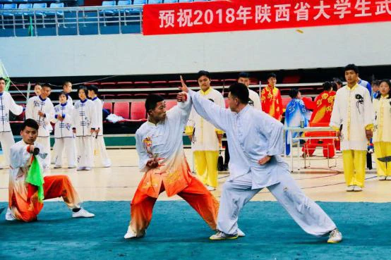 哪里能找到分卫的技术分析视频_2